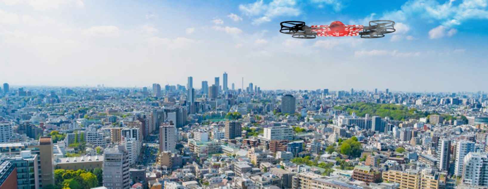 Drone Scanning real estate site