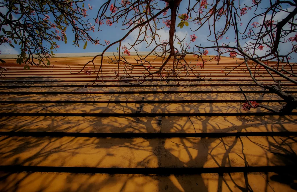 Roof inspection (1)