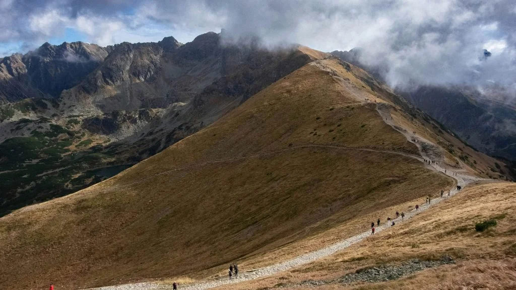 Mountain terrain elevation model example with ridge path, showcasing natural topography and elevation changes.