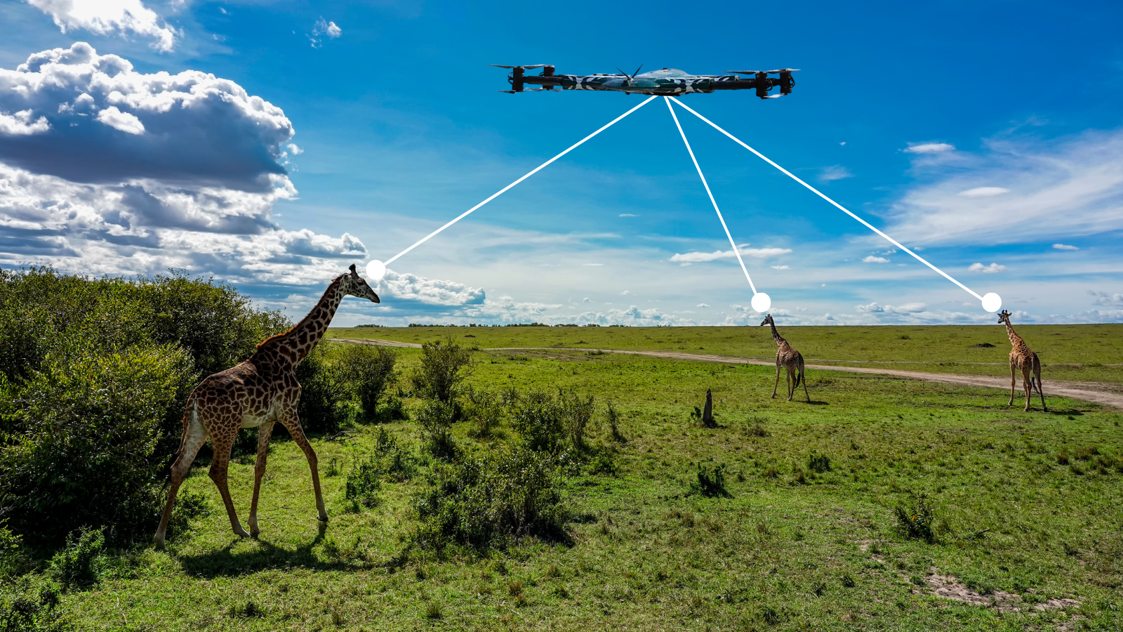 Drone surveillance used for environmental and wildlife monitoring in open grassland terrain.