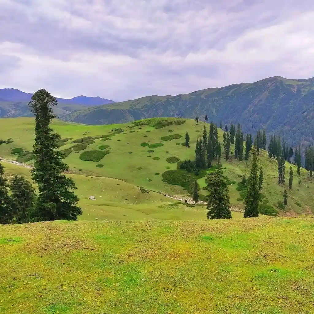 grasslands management